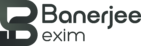 banerjeeexim.com